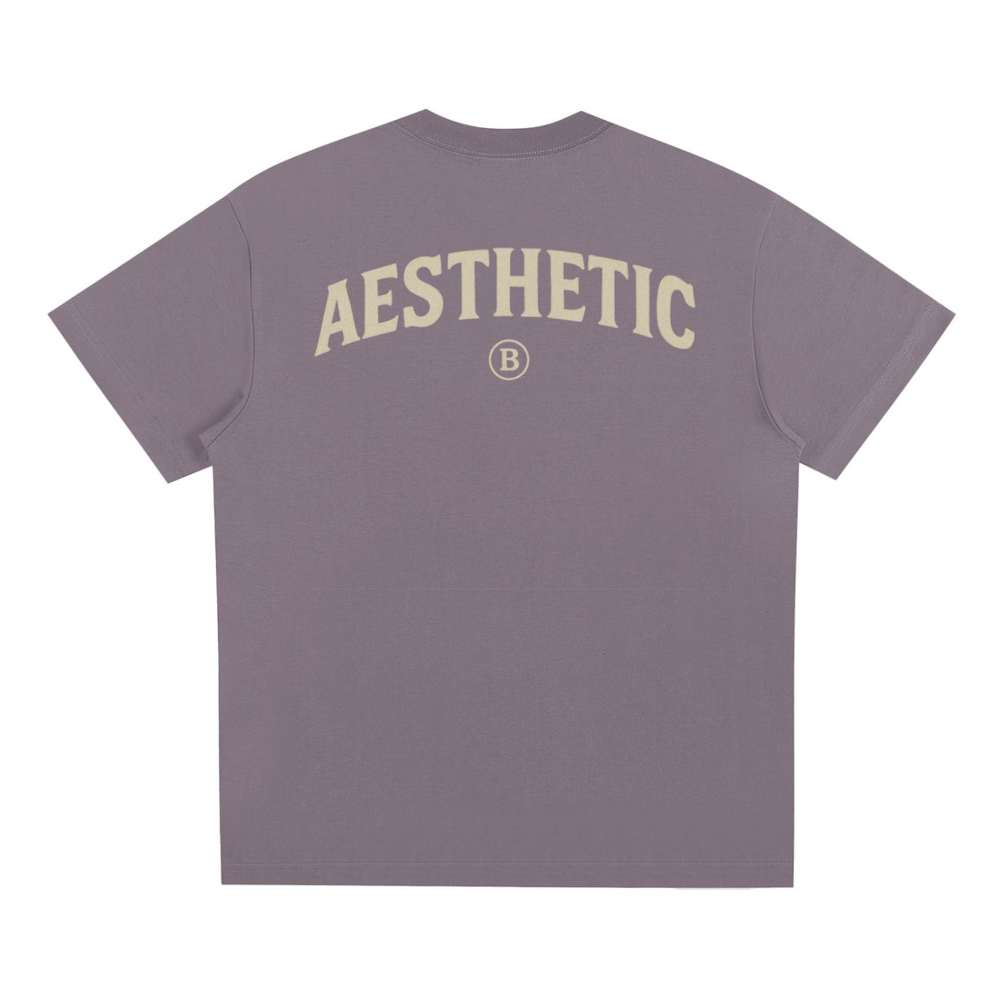 Aesthetic T-Shirt