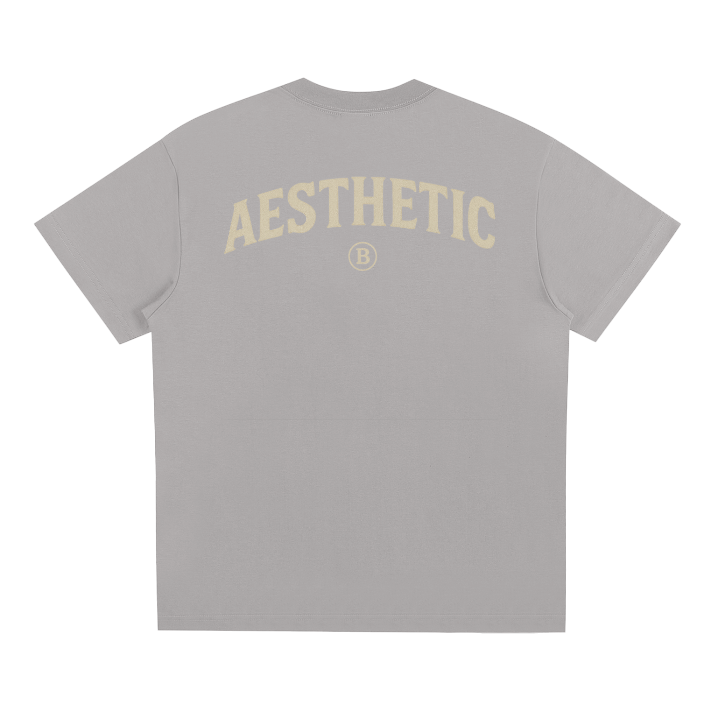 Aesthetic T-Shirt