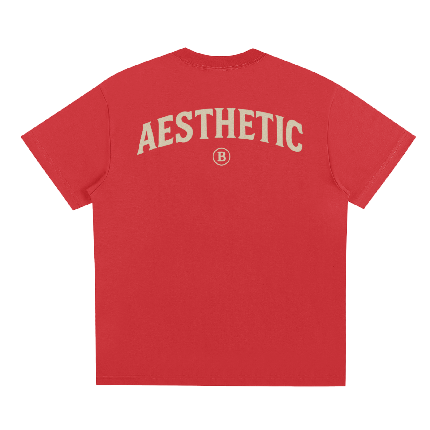 Aesthetic T-Shirt